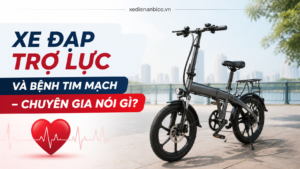 xe đạp trợ lực và bệnh tim mạch – Chuyên gia nói gì?
