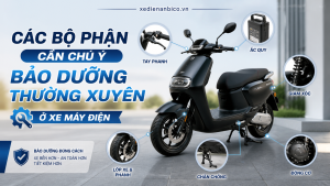 Các bộ phận cần chú ý bảo dưỡng thường xuyên ở xe máy điện